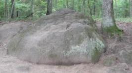 Copy of P1010034.JPG