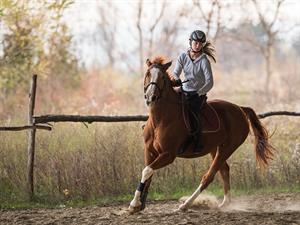 shutterstock_519434014_riding a horse_jāt uz zirga.jpg