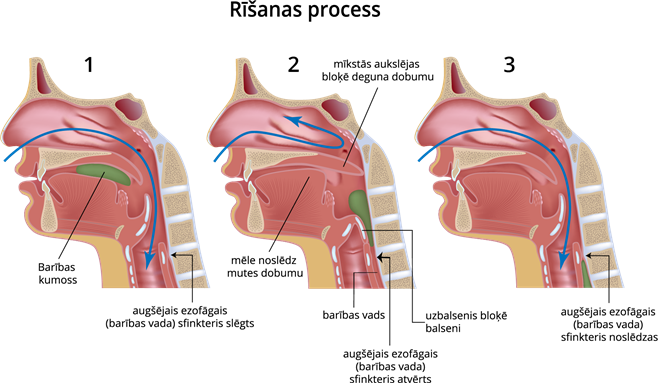 rīšanas process.png