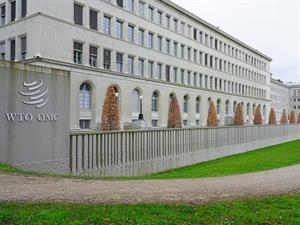 EQRoy Shutterstock.jpg