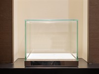 shutterstock_1767608369_display showcase_ekspozīcijas vitrīna.jpg