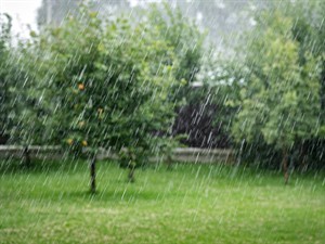 shutterstock_2424862329_Rain in summer_Lietus vasarā.jpg