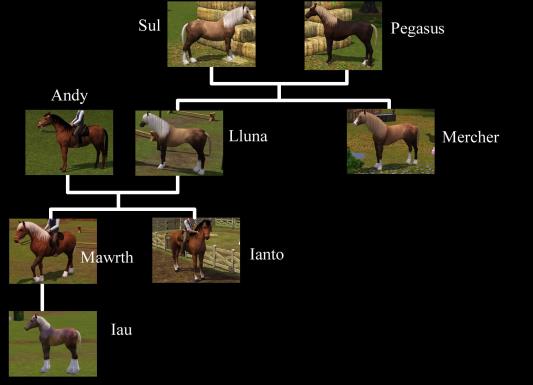 GwyneddHorseFamilyTreecopy.jpg
