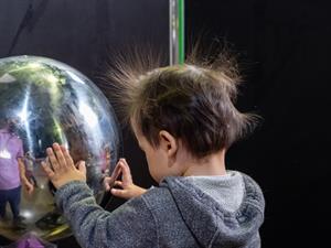 Stocker plus Shutterstock.jpg