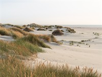 shutterstock_2258662661_sandy beach_smilšaina pludmale.jpg