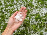 shutterstock_1900221892_hailstorm_krusas graudi.jpg
