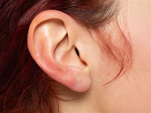 shutterstock_2446304031_ear_auss.jpg