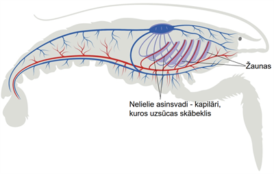 Screenshot 2026-03-10 110315.png