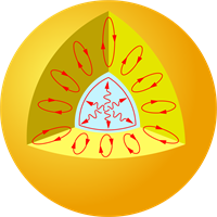 YCUZD_251001_3689_66.png