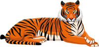YCUZD_230709_5338_picture_der Tiger.png