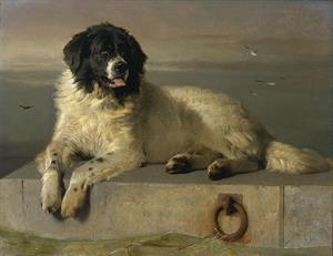 52 httpsen.wikipedia.orgwikiFileA_Distinguished_Member_of_the_Humane_Society_by_Sir_Edwin_Landseer.jpg.jpg
