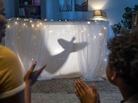 shutterstock_2081784502_hand shadow of bird_putns no roku ēnām.jpg