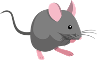 YCUZD_230709_5338_picture_die Maus.png
