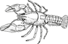 YCUZD_260930_8604_vēzis.png