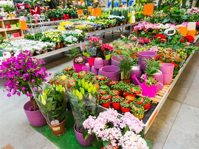 florists_shutterstock_487226386.jpg