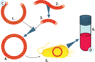 YCUZD_230926_5585_eksperiments_ar cipariem.png