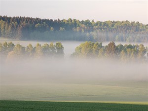 shutterstock_2506681199_Foggy sunrise_Miglains saullēkts.jpg