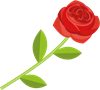 YCUZD_230709_5338_pict die Rose.png