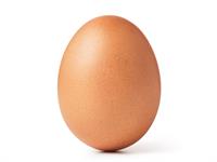Shutterstock_1187378770_egg_ola.jpg