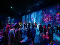 Aberu.Go Shutterstock_digital art museum_digitālās mākslas muzejs.jpg