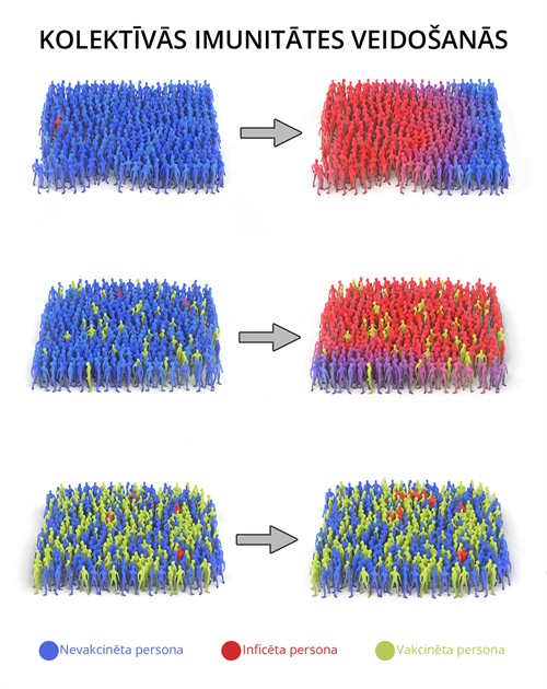 YCUZD_240207_6016_kolektīvā imunitāte.jpg