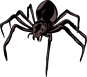 YCUZD_240816_6535_spider_zirneklis.png