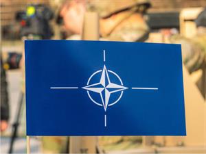 Michele Ursi Shutterstock.jpg