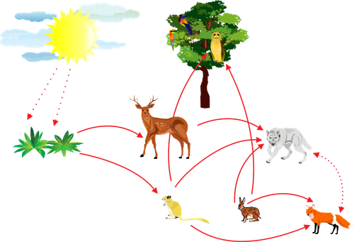 shutterstock_390802570 (1).png