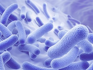 shutterstock_2504761843_Probiotic bacteria_Probiotiskās baktērijas.jpg