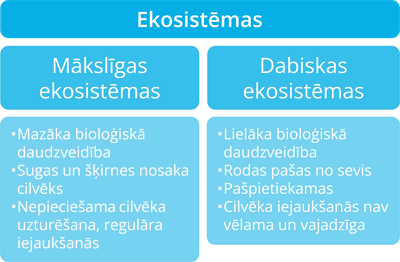 YCUZD_250430_7234_maksligas_dabiskas_ekosistemas.png