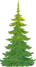 Елка Egle Spruce.png