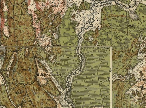 mežaina galamorēna.png