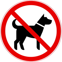 YCUZD_260906_8482_11.png