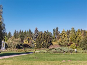 Shutterstock_2523061805_Salaspils botanical garden_Salaspils botāniskais dārzs.jpg