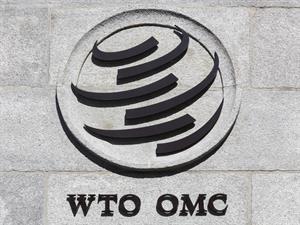 ricochet64 Shutterstock.com.jpg