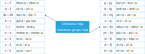 YCUZD_250923_7635_līdzskaņu_mija.png