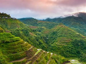 shutterstock_2452536405_Filipinees rice plantations_Filipīnu rīsa plantācijas.jpg