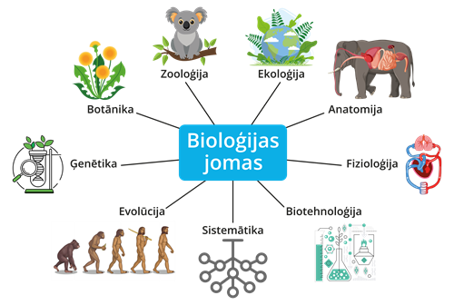 YCUZD_241119_6777_biologijas_jomas.png