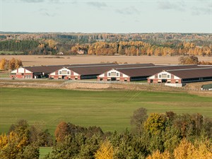 shutterstock_2025685838_cowsheds_govju kūtis.jpg