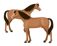 horses.png