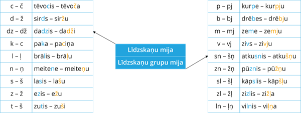YCUZD_250923_7635_līdzskaņu_mija.png