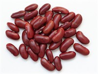 Shutterstock_2499459179_beans_pupiņas.jpg