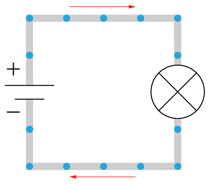 GIF FrequentImpoliteCrabsizerestricted.gif