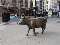 Mary Lynn Strand  Shutterstock.com.jpg