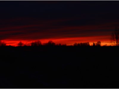 Daniels Patriks Misuns