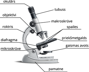 Mikroskops ar nosaukumiemРесурс 1.png