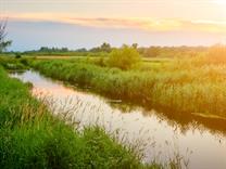 shutterstock_2405255971_river_upe.jpg