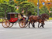 Mistervlad Shutterstock_Horse carriage near Imperial palace in Japan_Zirgu pajūgs pie Japānas imperatora pils.jpg