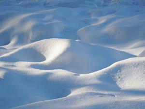 Shutterstock_2110596080_snowdrifts_kupenas.jpg