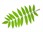 Shutterstock_193039676_rowan leaf_pīlādža lapa.jpg